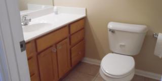 3024 Our Tibbs Trail Gallery 11