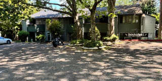 1 bed 1 bath condo with seasonal outdoor pool available now!! Gallery 1