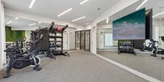 Revl Med Center Gallery 75