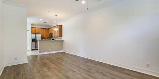 241 E THATCH PALM Circle E Gallery 11