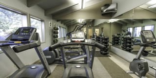 Aspen Ridge Gallery 6