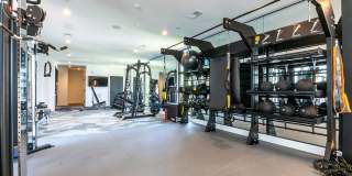 Tailor O4W Gallery 42