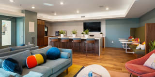 AMLI South Shore Gallery 15