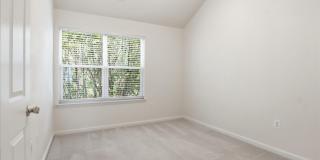 4951 CHASTE TREE Place Gallery 24