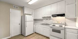 Balfour 296 Gallery 7