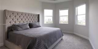 13939 Prickly Cone Cv Gallery 14