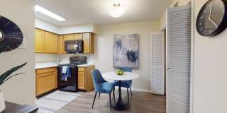 Hilton Head Gallery 15