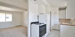 t2504 Gallery 8