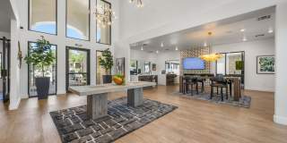 Finisterra on Grove Gallery 2