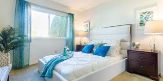 Waters Landing Apartment Gallery 7