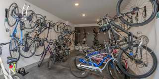 Windsor Central Arts Gallery 40