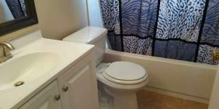 1129 Fuchsia Dr Gallery 19