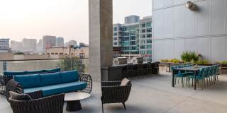 The Merian Gallery 86