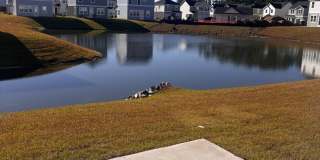 Beautiful 4BR 3 BA Home w/ Loft + Patio + View in Little River Gallery 6
