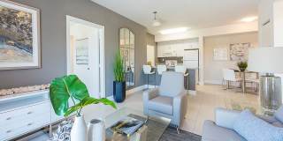 The Olivia Apartments Gallery 4