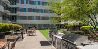 Lamar Union Gallery 31