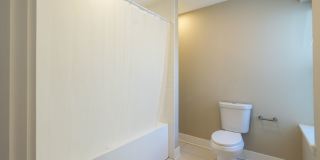 Renovated 3 Bedroom, 1.5 Bath Home in Newbold — Central Air, In-Unit Laundry, Private Yard Gallery 23