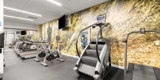 The Payton Gallery 18