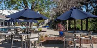 Kirker Creek Gallery 13