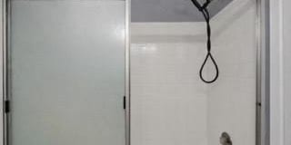 610 TIMBER CREEK Road Gallery 12