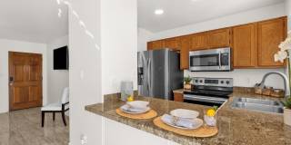 13636 N SAGUARO Boulevard Gallery 4