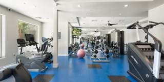 945 E Playa Del Norte Dr Unit 5002 Gallery 24