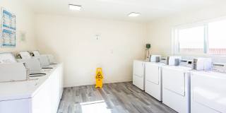 Buena Casa Gallery 37