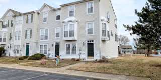 38337 AMAGANST Gallery 1