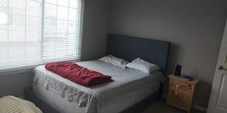 3354 Ravinia Circle Gallery 5
