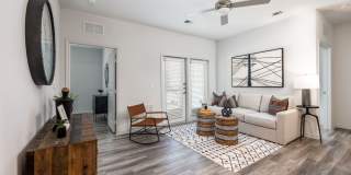 Moonlight Moonlight Gallery 4