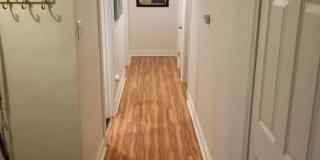 Beautiful Home Located in Historic Urbana Gallery 4