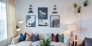 The Ivy at Ariston Gallery 8