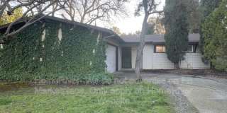 2008 Polley Drive Gallery 1