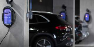 Belle on Bev Belle on Bev Gallery 66