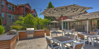 Avana One Six Four Gallery 21