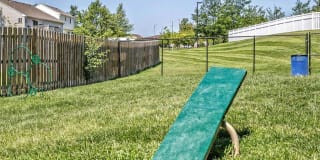 Autumn Grove Gallery 6