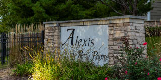 Alexis at Perry Pointe Gallery 8