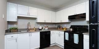 Evergreen Commons Gallery 17