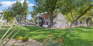 Chandler Ridge Gallery 20