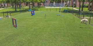 Villa Del Mar Gallery 16