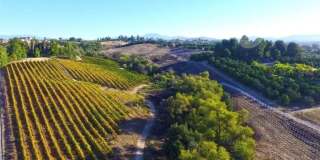 39850 Kapalua Way Gallery 1