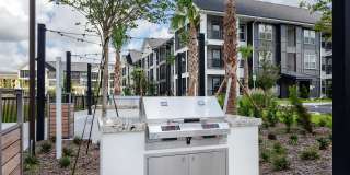 Alta Citron Gallery 86