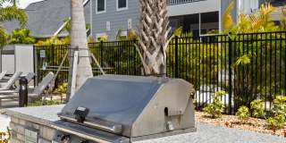 Palm Grove Gallery 26
