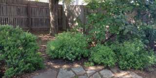 Fully Furnished South Austin Home - Riverside Meadows Gallery 23