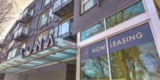 Luna Gallery 39