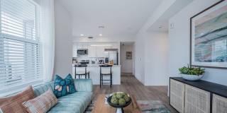 Cove at 47th Gallery 9