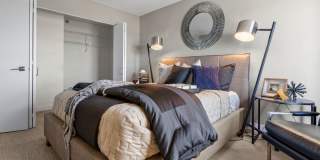 Lux Apartments Gallery 6