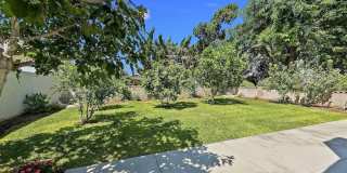 6368 LAKE BADIN AVENUE Gallery 22