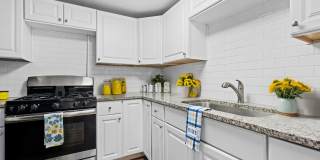 Mayfair Apartments Gallery 10
