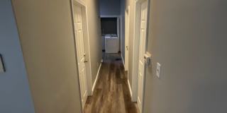 *August 2028* 5 Bedroom house 1 block off Kirkwood FULLY RENOVATED Gallery 16